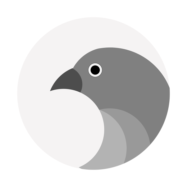 branding image grey bird
