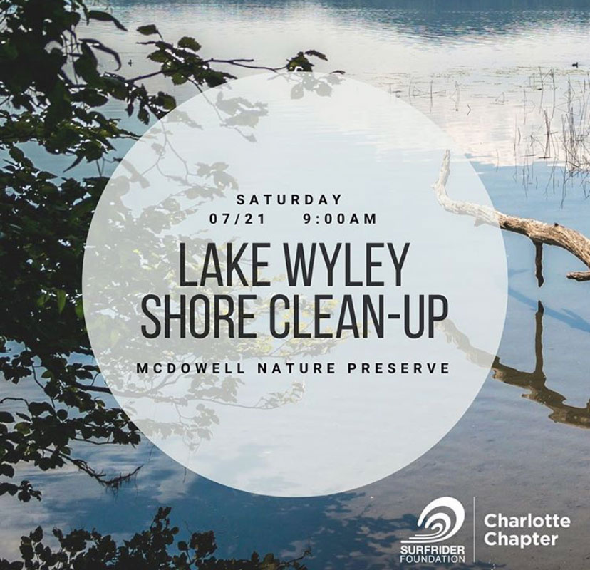lake cleanup